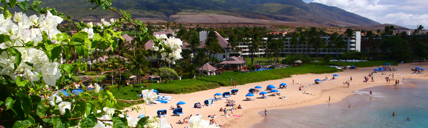 Banner image of Lahaina